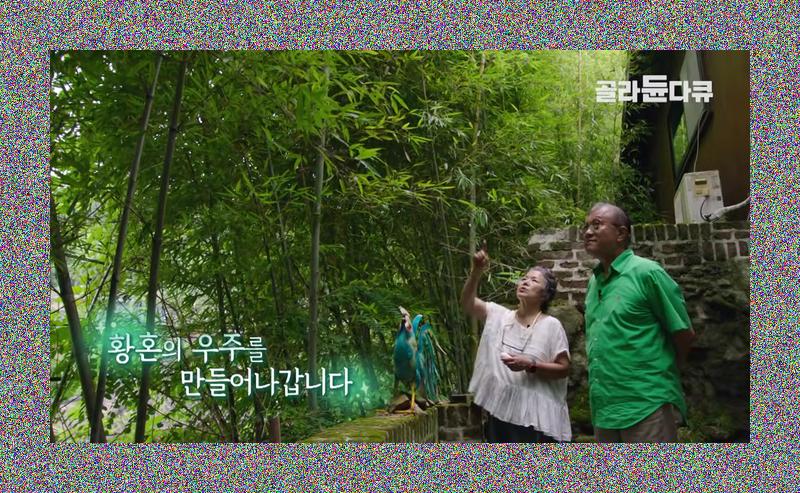 EBS 건축탐구 집 한옥: 폐가에서 피어난 부부의 두 번째 인생 이야기